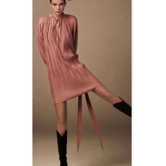 Zara Dresses Zara Long Sleeve Dusty Pink Pleated Dress Poshmark